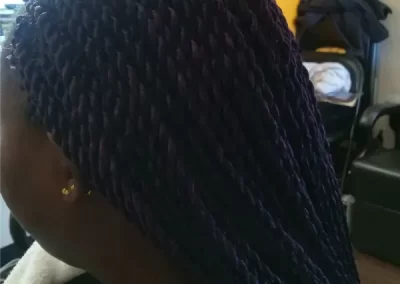 Professional Hair Salon