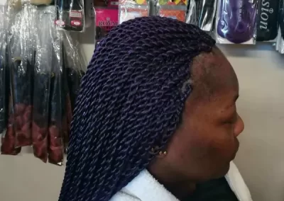 Professional Hair Salon