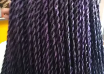 Professional Hair Salon