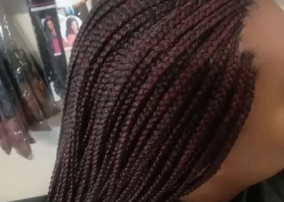 Professional Hair Salon